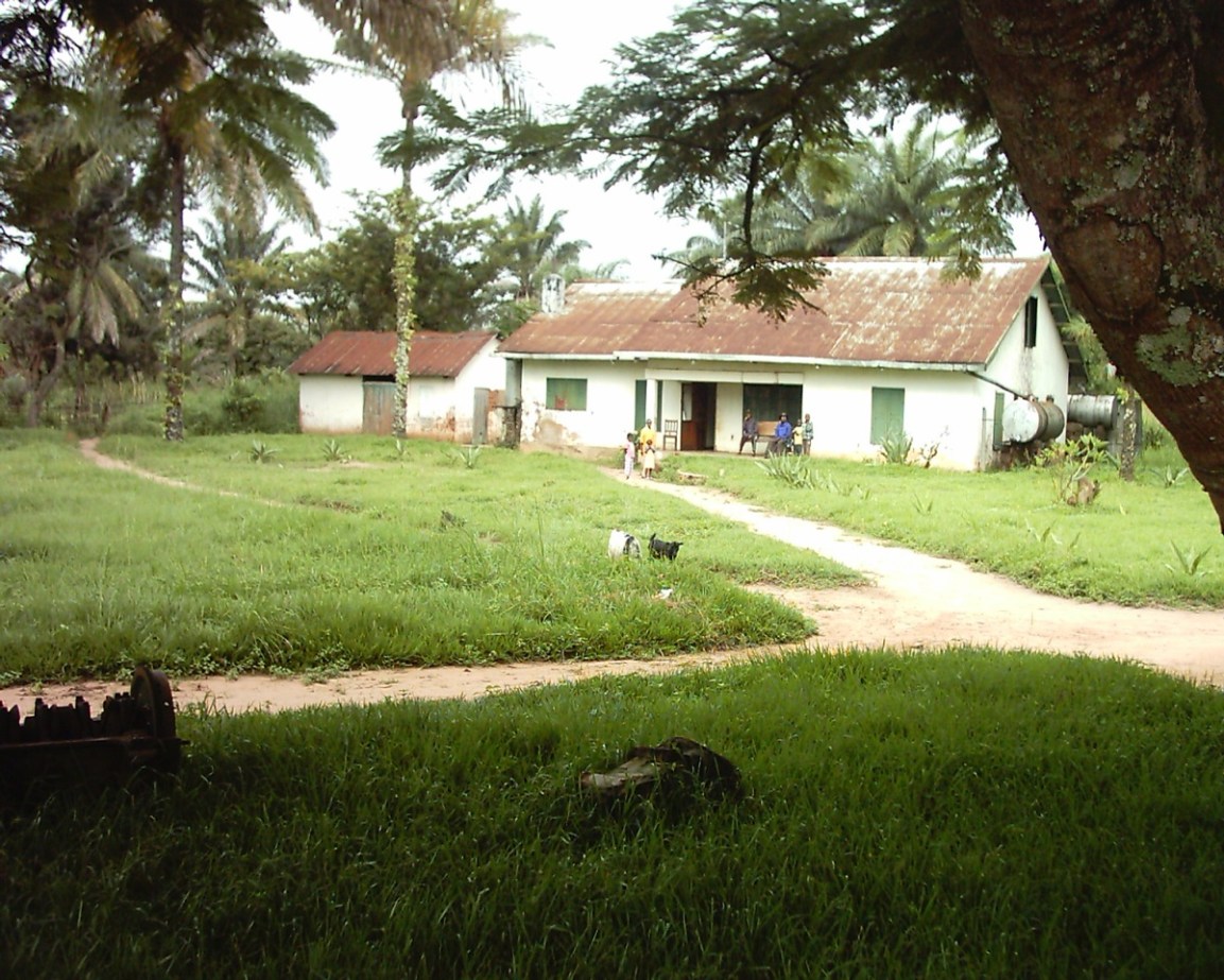 Matt's Nyanga home, a shell of its former appearance