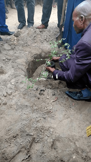 Kandale, Beauty for&nbsp;Ashes